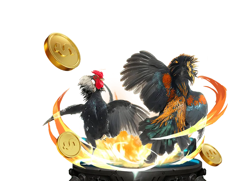 Hoàn trả 54win